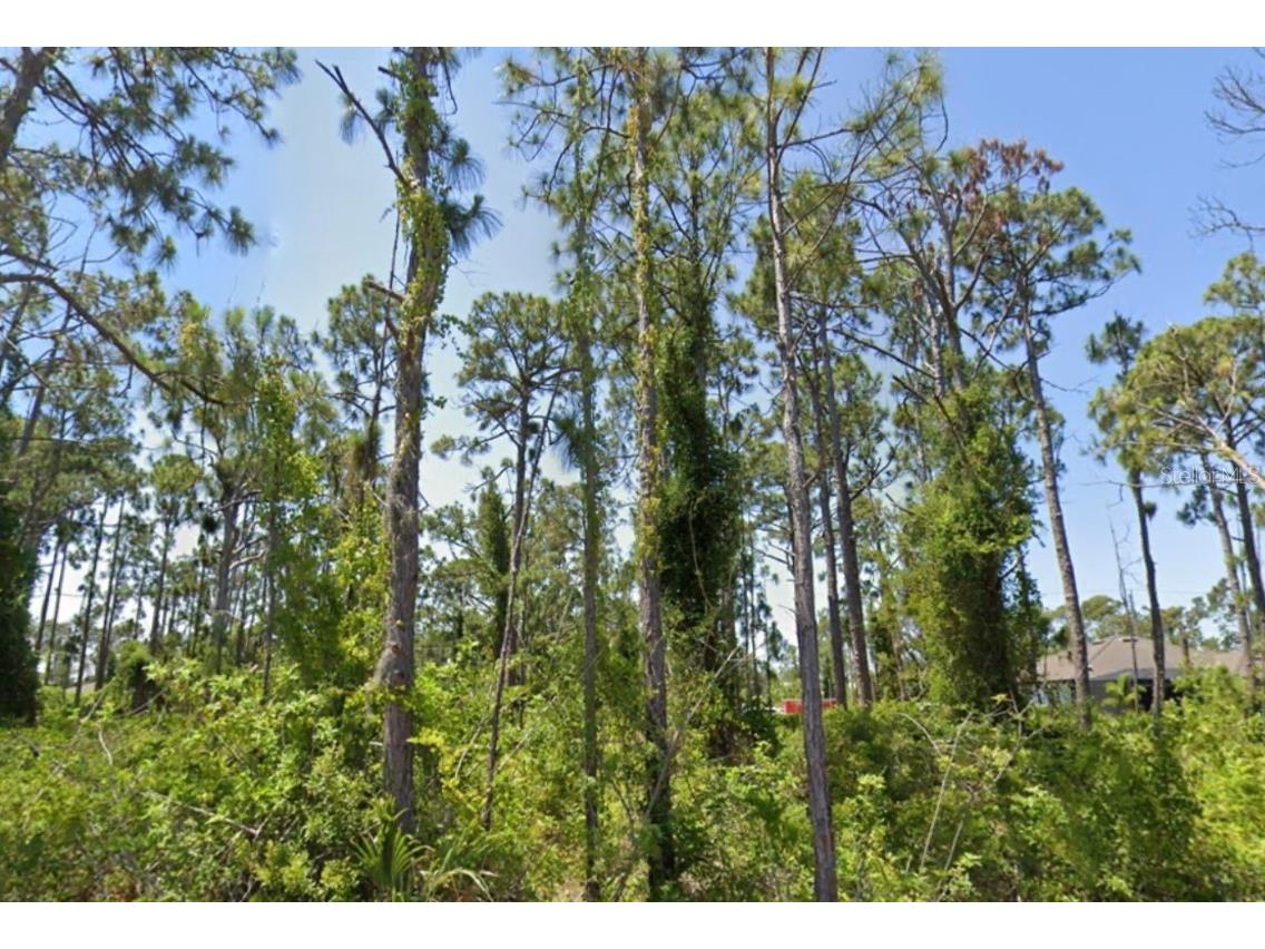 14209 Naylor Avenue Port Charlotte FL 33981 N6141221 image1