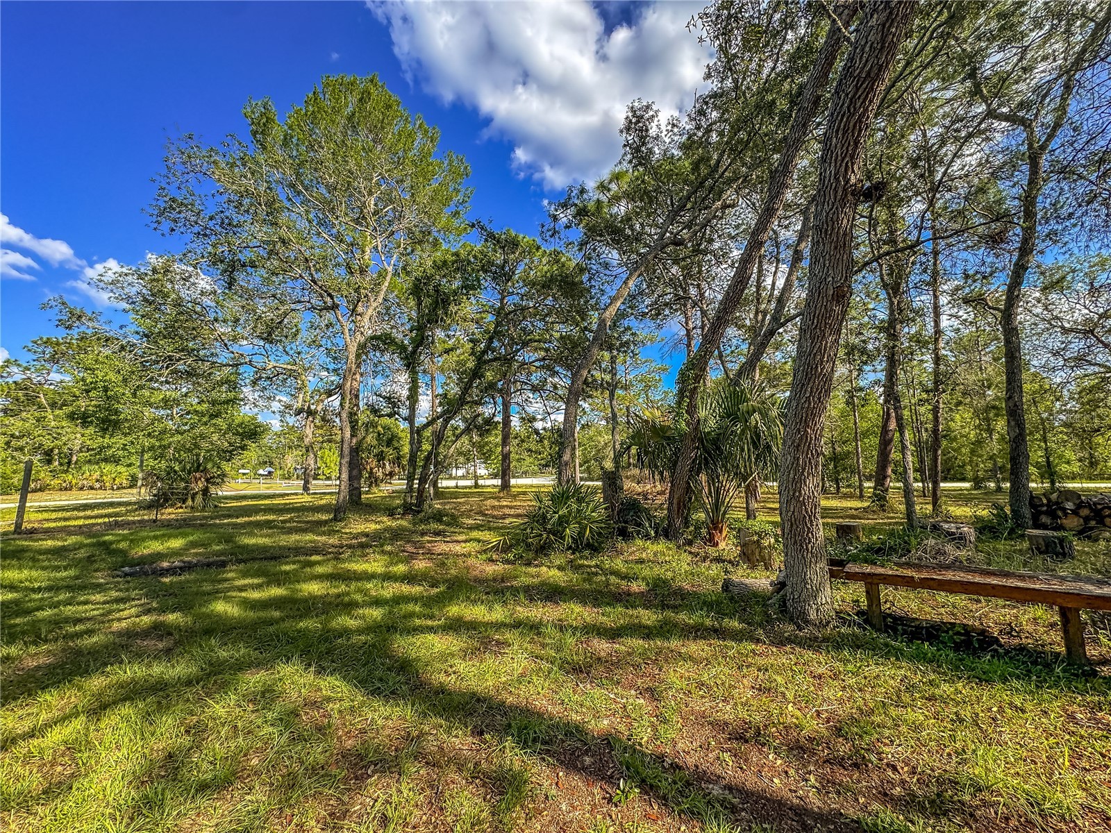 14209 Tayco Drive Weeki Wachee FL 34614 W7886066 image10