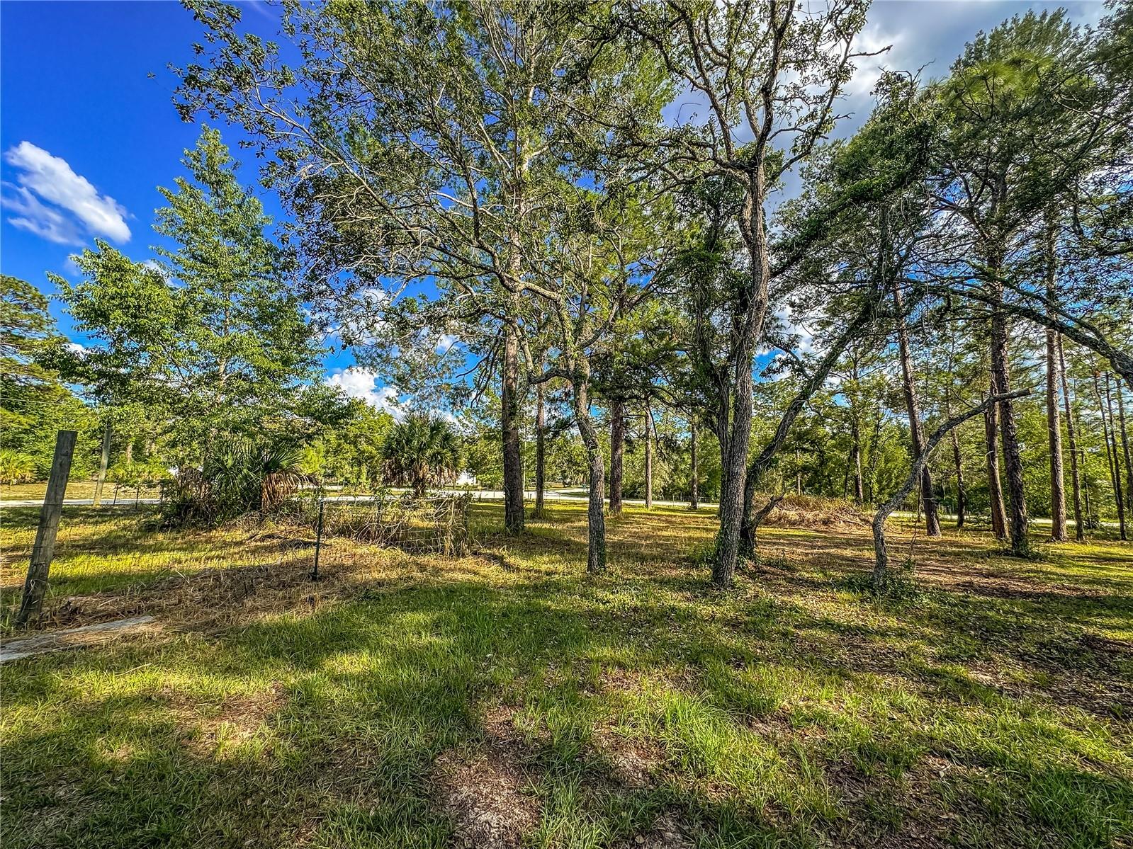 14209 Tayco Drive Weeki Wachee FL 34614 W7886066 image16