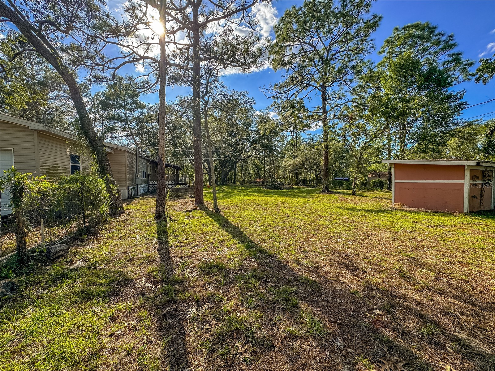 14209 Tayco Drive Weeki Wachee FL 34614 W7886066 image19
