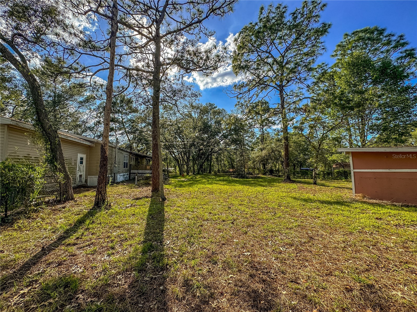 14209 Tayco Drive Weeki Wachee FL 34614 W7886066 image20