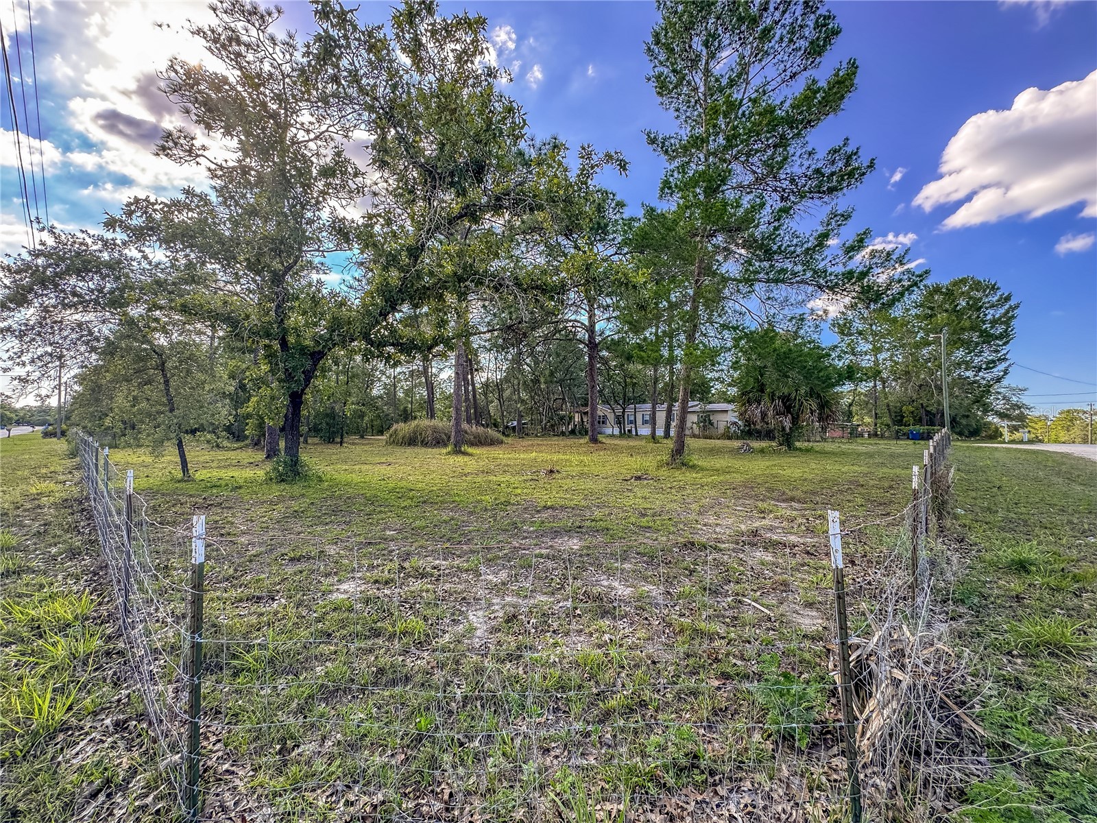 14209 Tayco Drive Weeki Wachee FL 34614 W7886066 image27