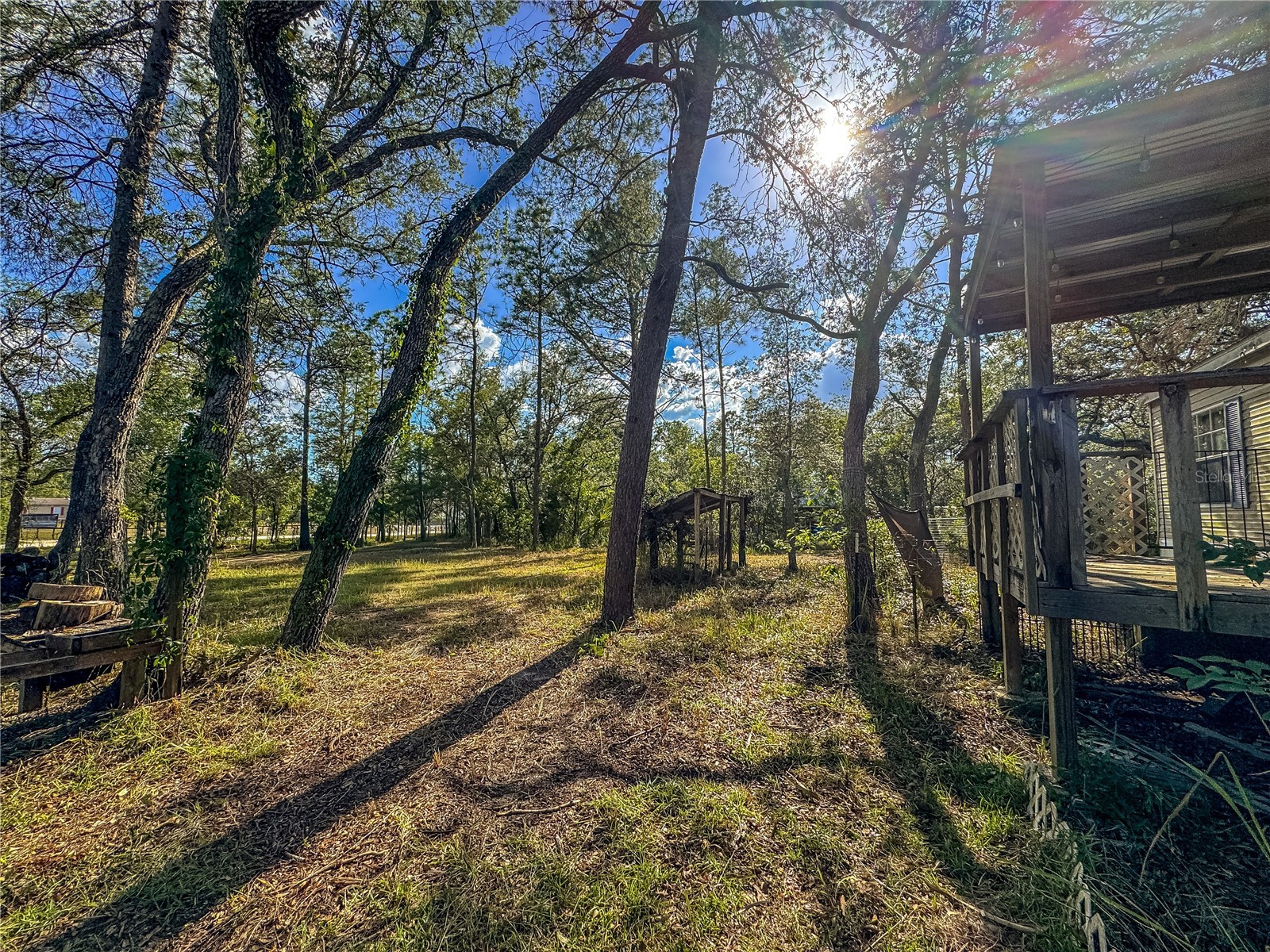 14209 Tayco Drive Weeki Wachee FL 34614 W7886066 image9