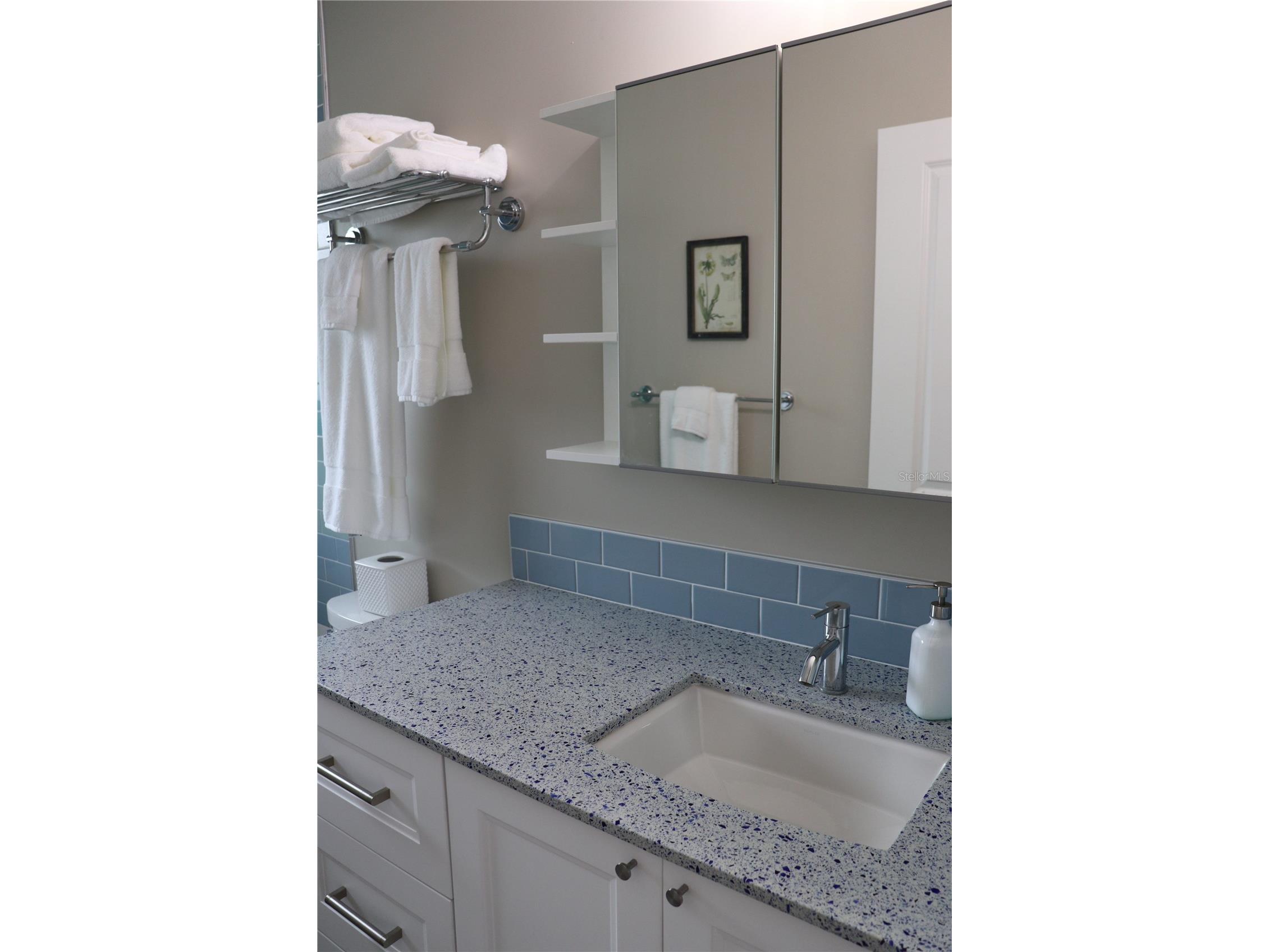 1421 14th Street N Saint Petersburg FL 33704 A4696379 image38