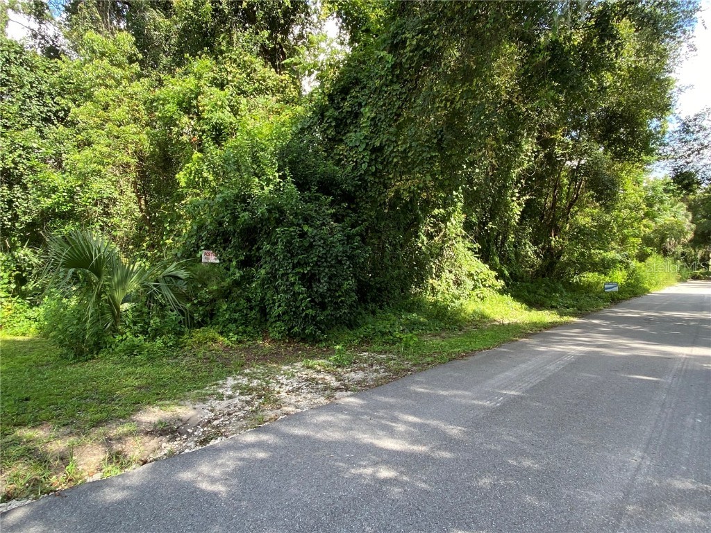 1421 1st Street Deland FL 32724 V4931262 image1