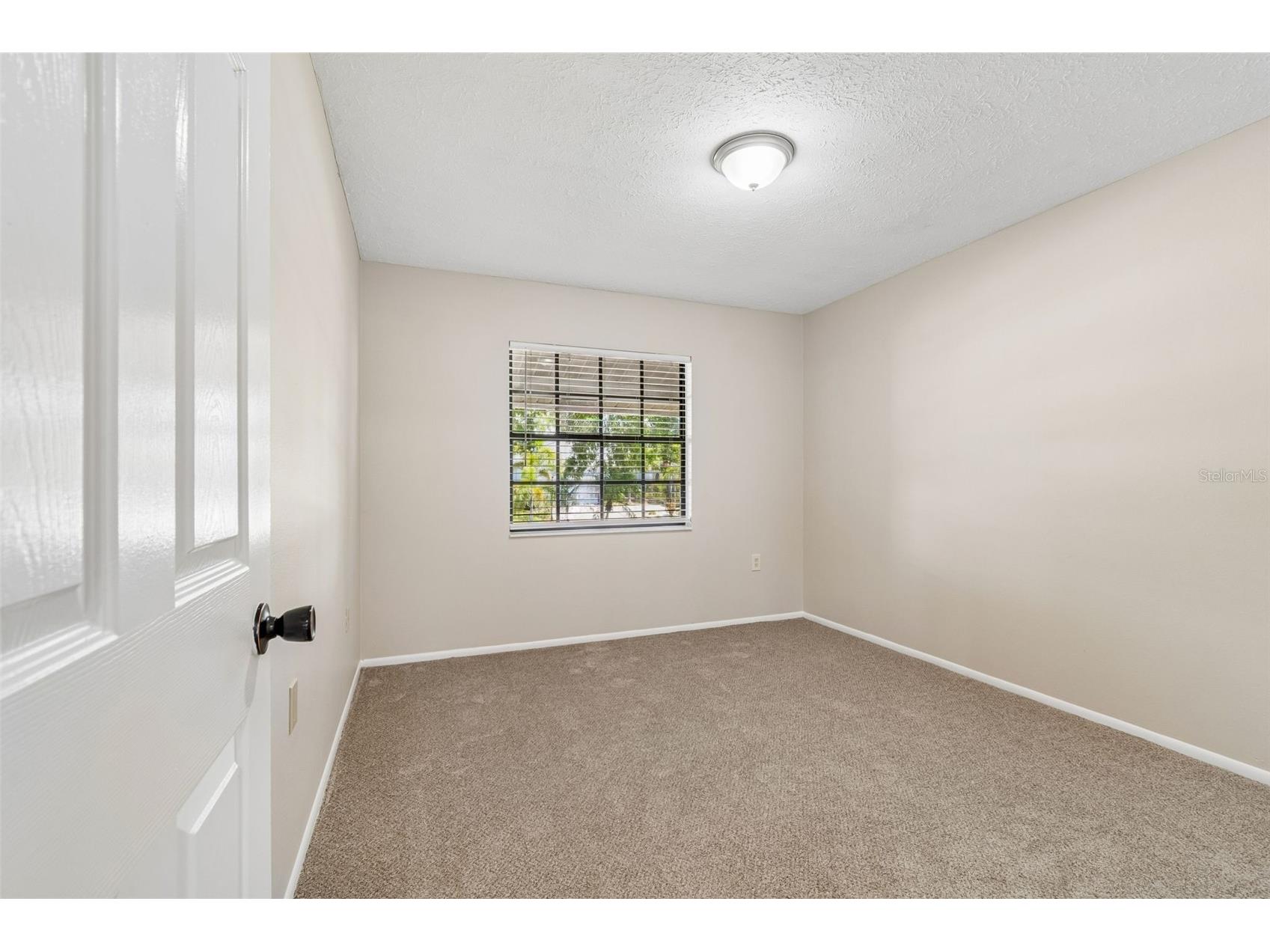 1421 Ironworks Lane Tarpon Springs FL 34689 TB8505518 image26