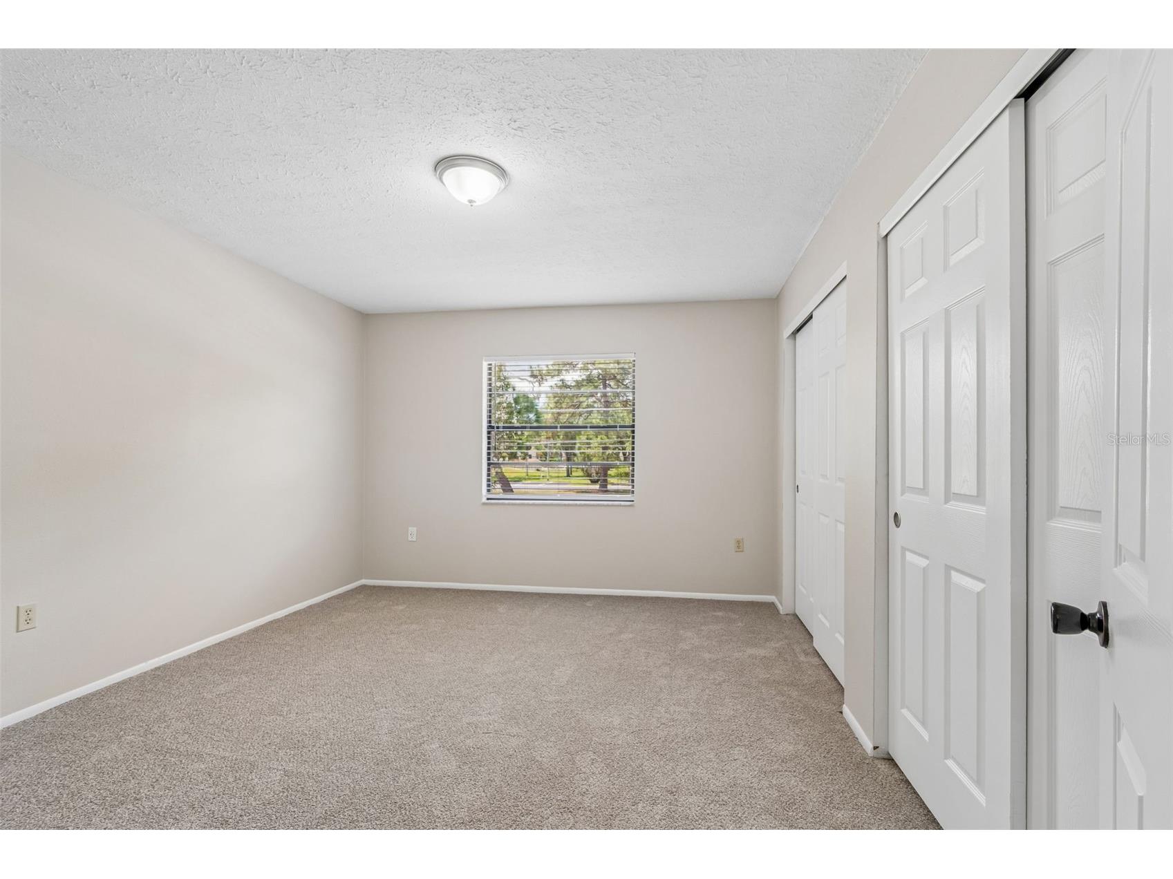 1421 Ironworks Lane Tarpon Springs FL 34689 TB8505518 image29