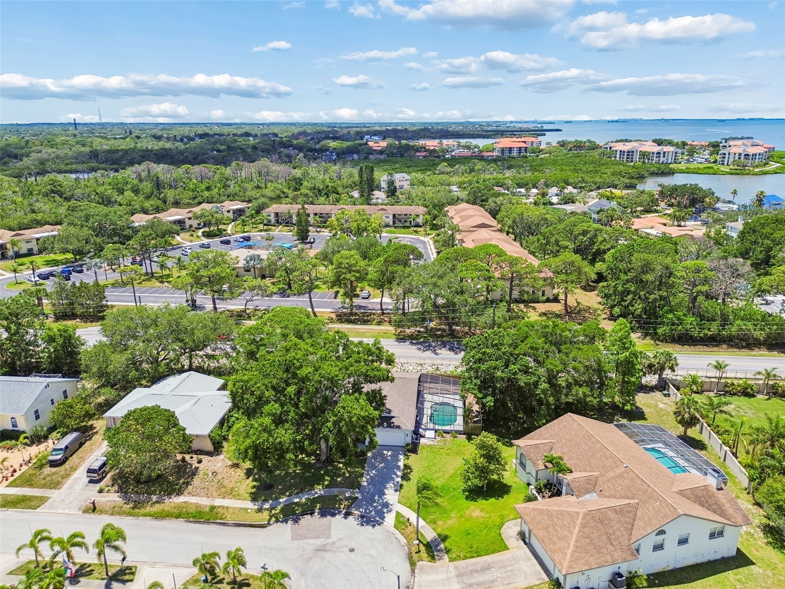 1421 Ironworks Lane Tarpon Springs FL 34689 TB8505518 image49