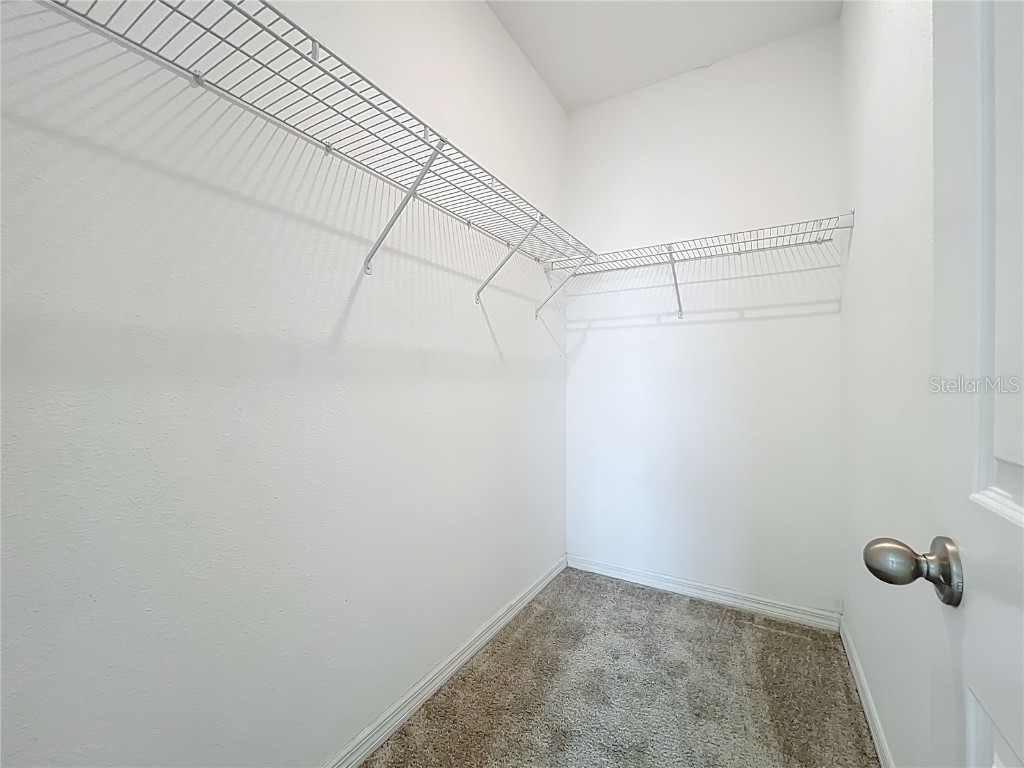 1421 Juniper Hammock Street Winter Garden FL 34787 S5135740 image29