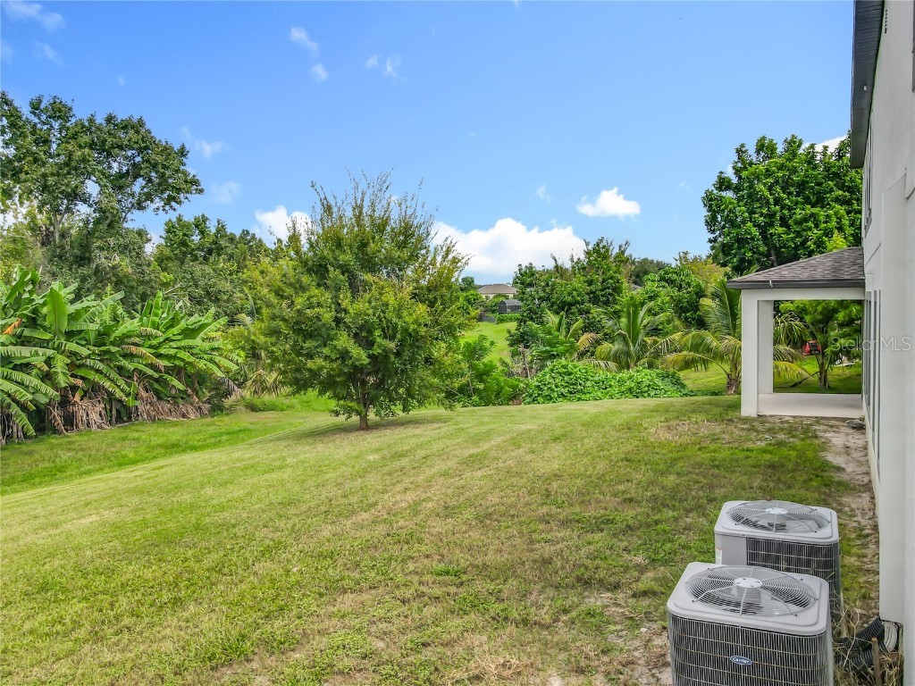 1421 Juniper Hammock Street Winter Garden FL 34787 S5135740 image40