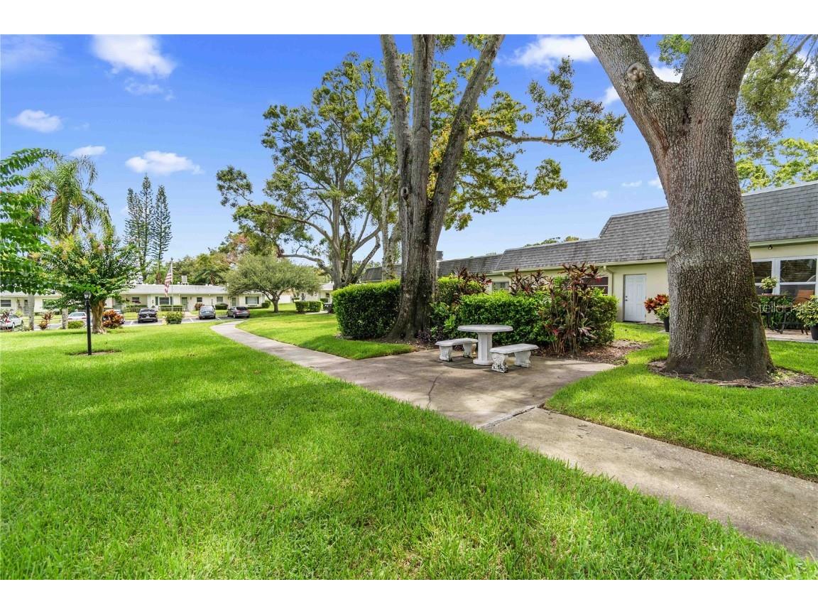 1421 Normandy Park Drive #2 Clearwater FL 33756 TB8416217 image34