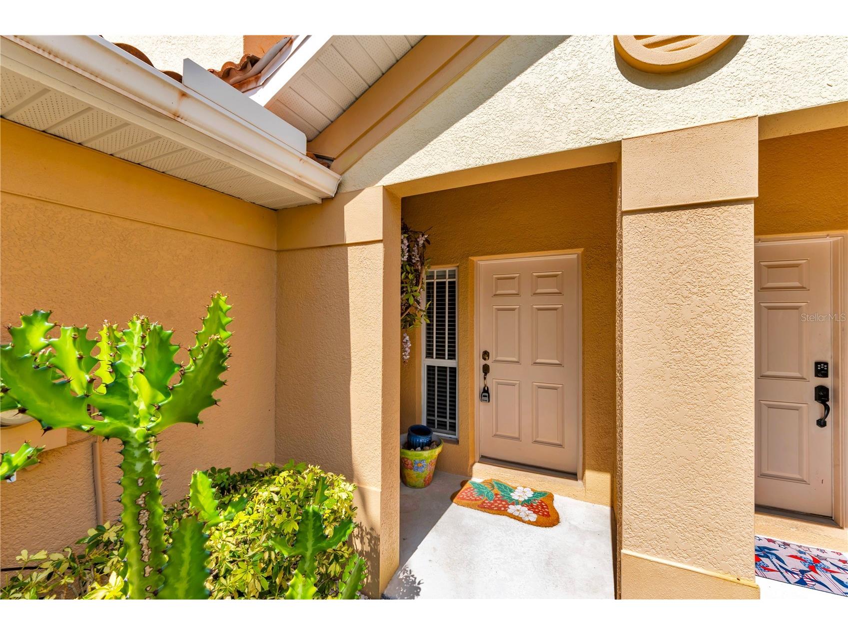 1421 Ridge Terrace Tarpon Springs FL 34689 W7887155 image3