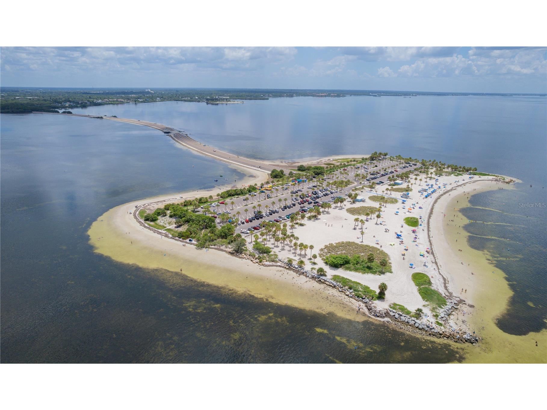 1421 Ridge Terrace Tarpon Springs FL 34689 W7887155 image38
