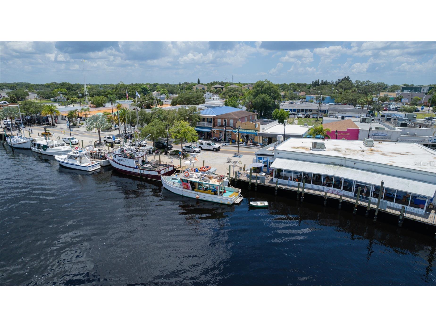1421 Ridge Terrace Tarpon Springs FL 34689 W7887155 image43