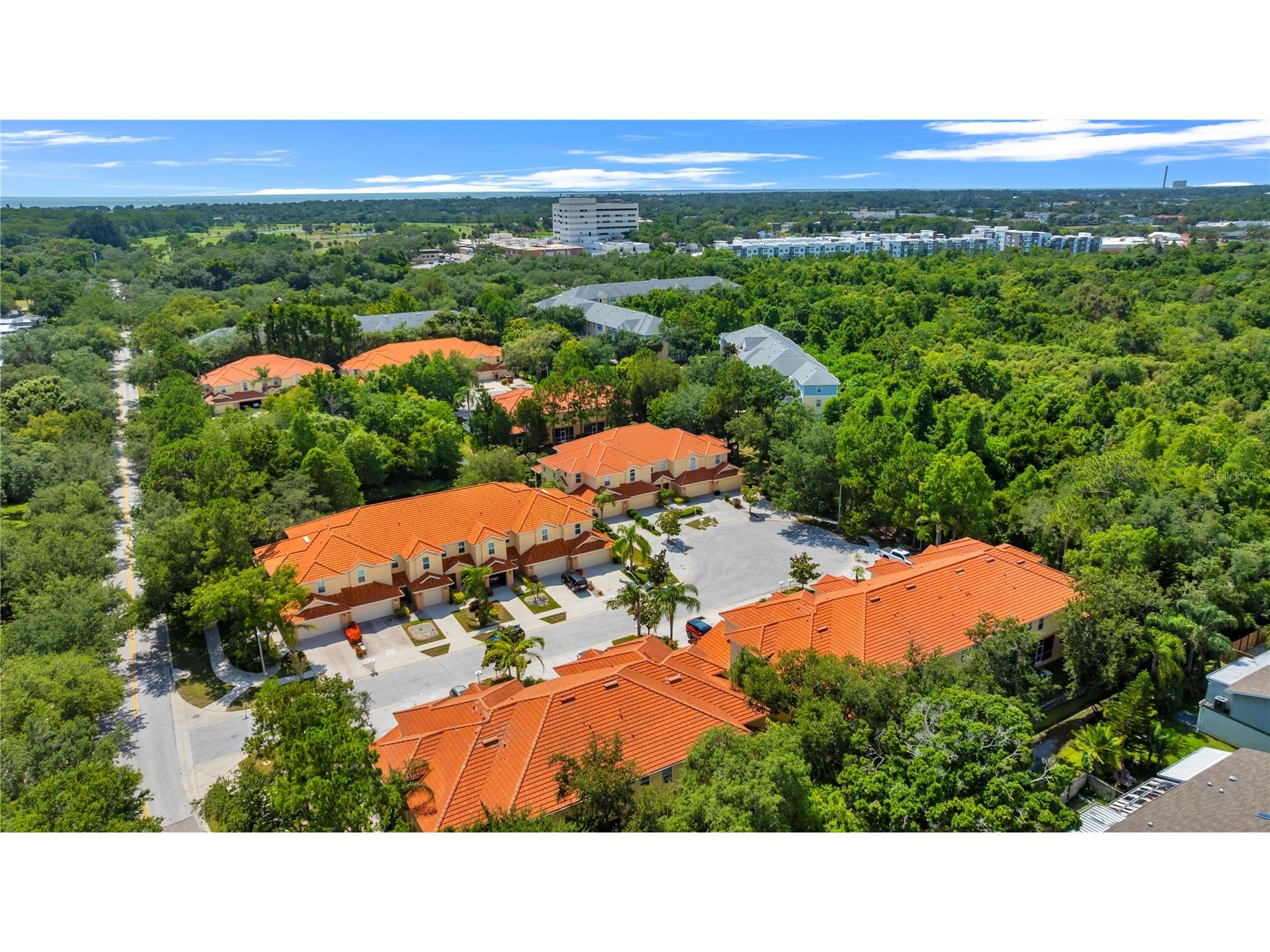 1421 Ridge Terrace Tarpon Springs FL 34689 W7887155 image47