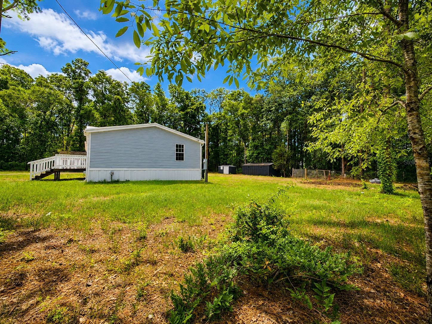 14210 NE 50th Place Williston FL 32696 OM726423 image15