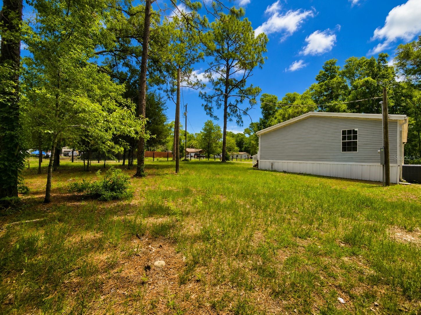 14210 NE 50th Place Williston FL 32696 OM726423 image19