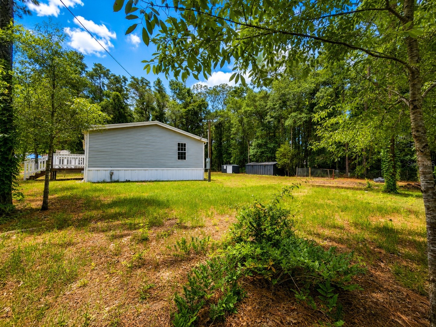 14210 NE 50th Place Williston FL 32696 OM726423 image21