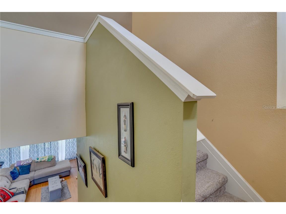 14210 Wake Robin Drive Brooksville FL 34604 TB8420221 image29