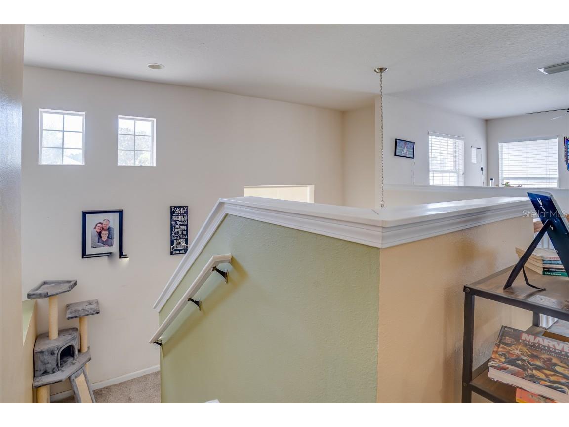 14210 Wake Robin Drive Brooksville FL 34604 TB8420221 image30