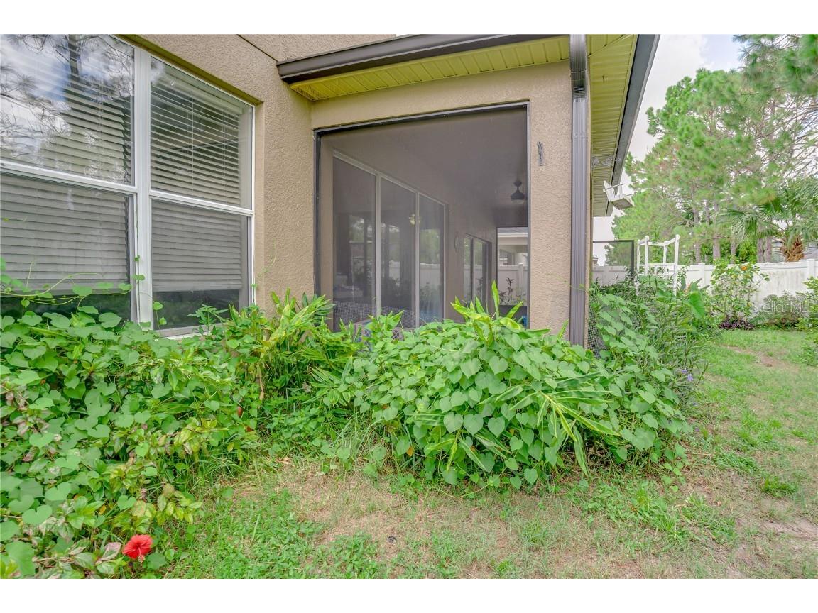 14210 Wake Robin Drive Brooksville FL 34604 TB8420221 image54