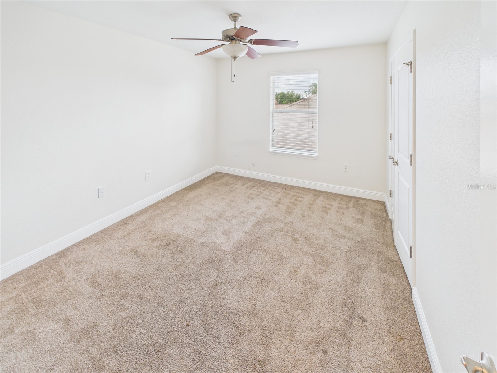 14211 Edinburgh Moor Drive Wimauma FL 33598 TB8426796 image18