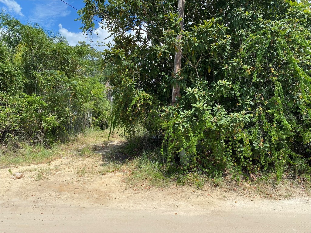 14211 SE 202nd Terrace Umatilla FL 32784 U8211373 image1