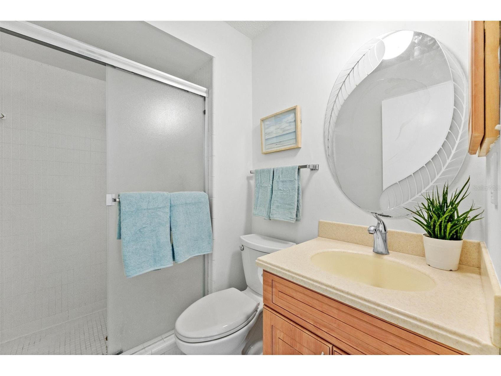 14212 84th Terrace Seminole FL 33776 TB8509594 image31