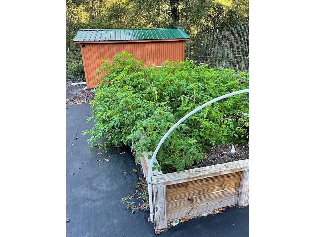 14212 NW 188th Street Alachua FL 32615 GC513252 image1