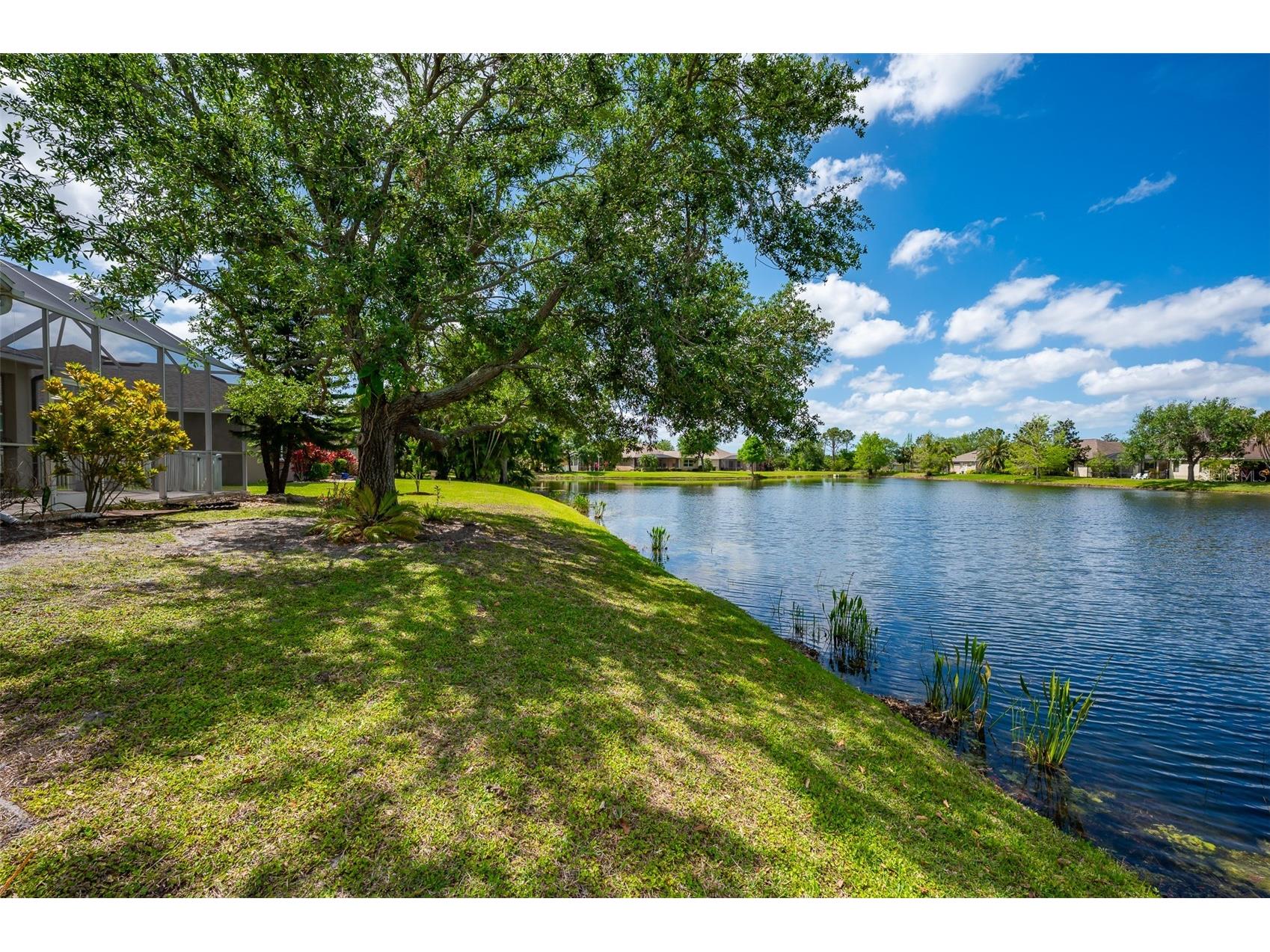 14214 Cattle Egret Place Lakewood Ranch FL 34202 A4678559 image45