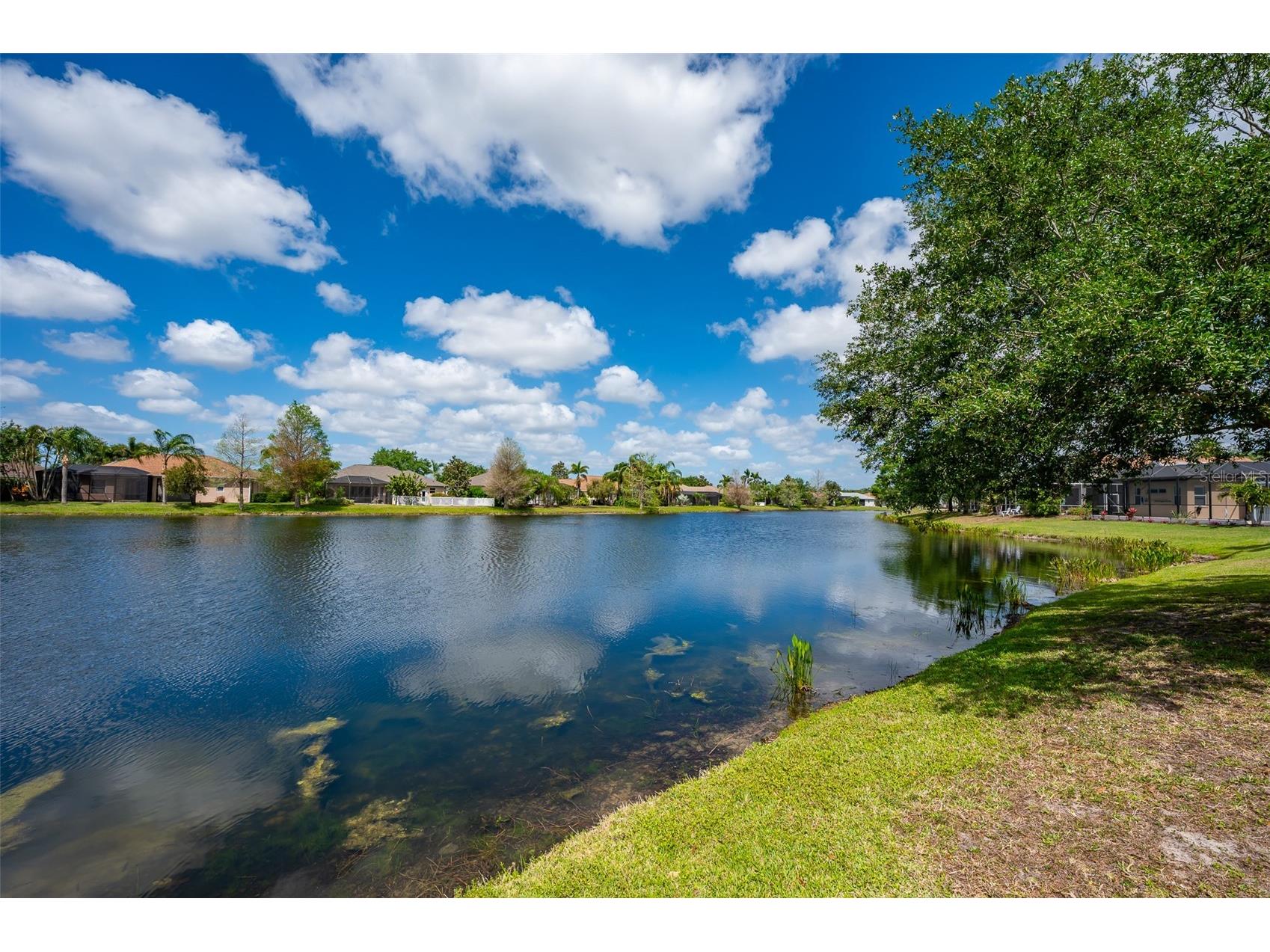 14214 Cattle Egret Place Lakewood Ranch FL 34202 A4678559 image46