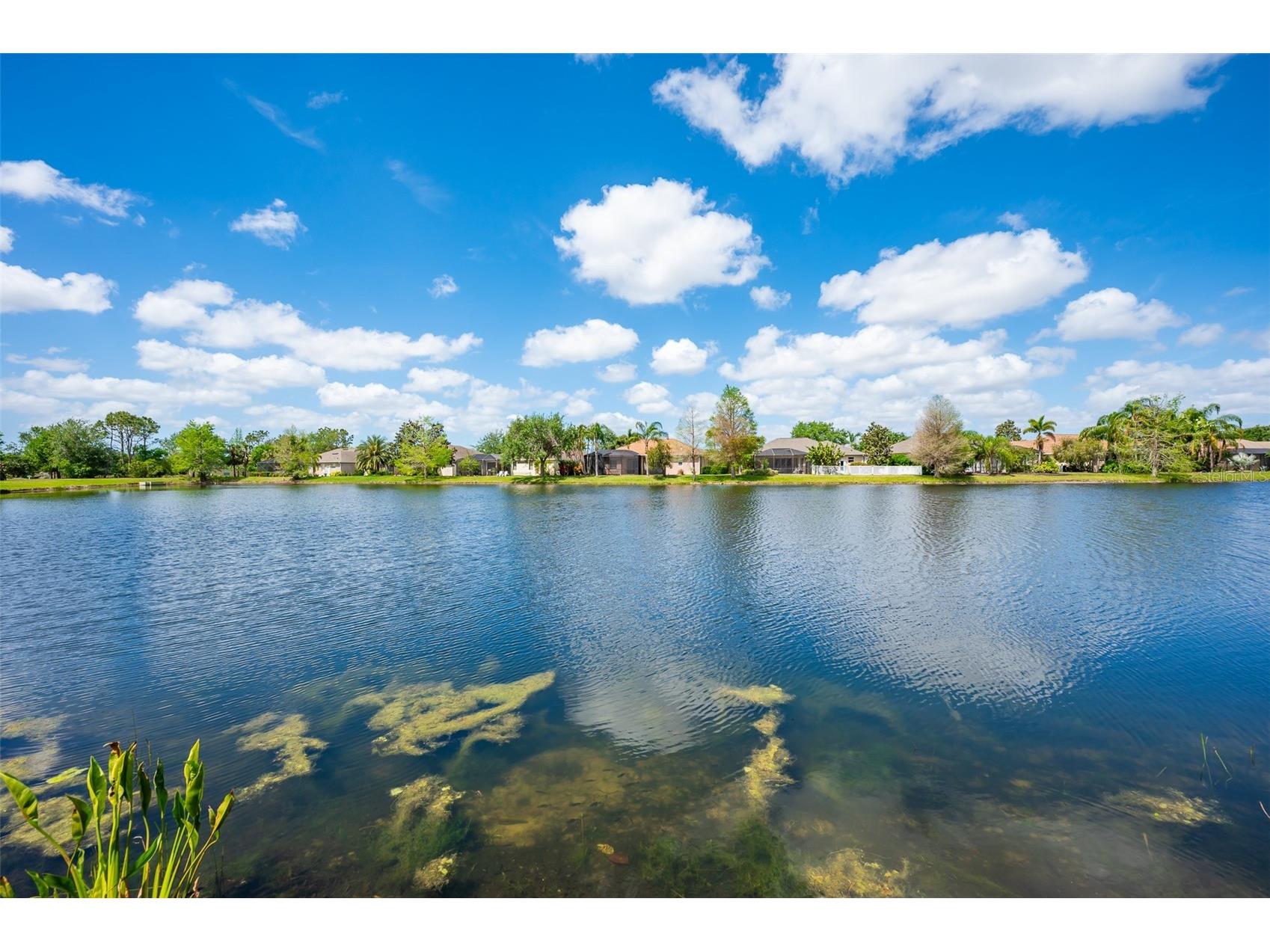 14214 Cattle Egret Place Lakewood Ranch FL 34202 A4678559 image47