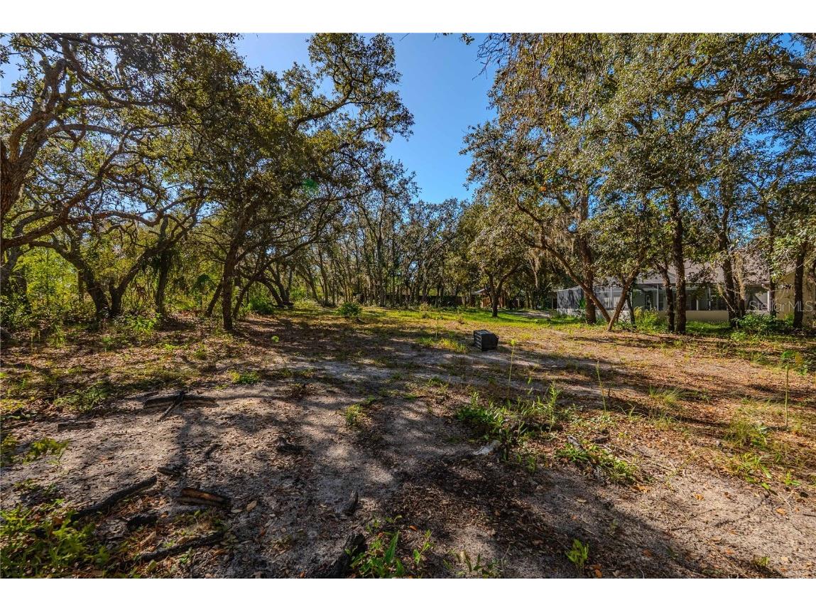 14214 Cinnaman Lane Weeki Wachee FL 34614 TB8443026 image63