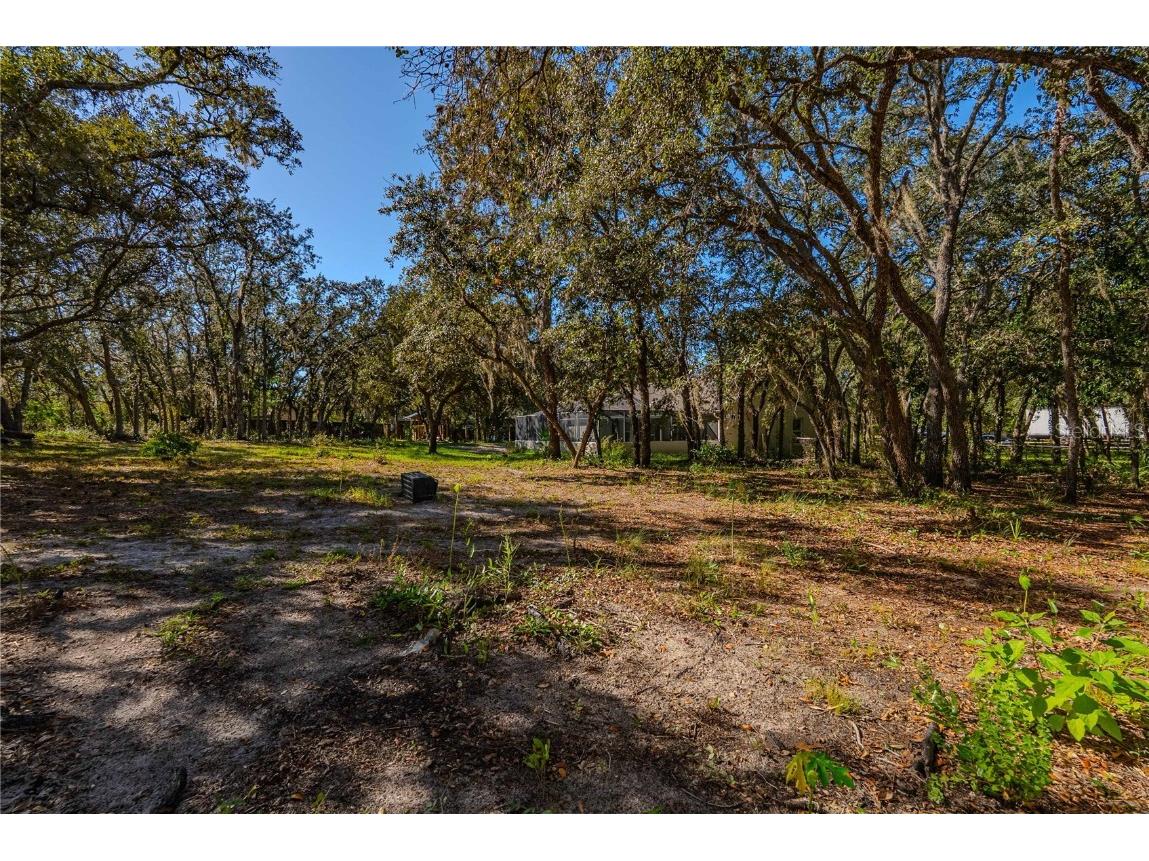 14214 Cinnaman Lane Weeki Wachee FL 34614 TB8443026 image64