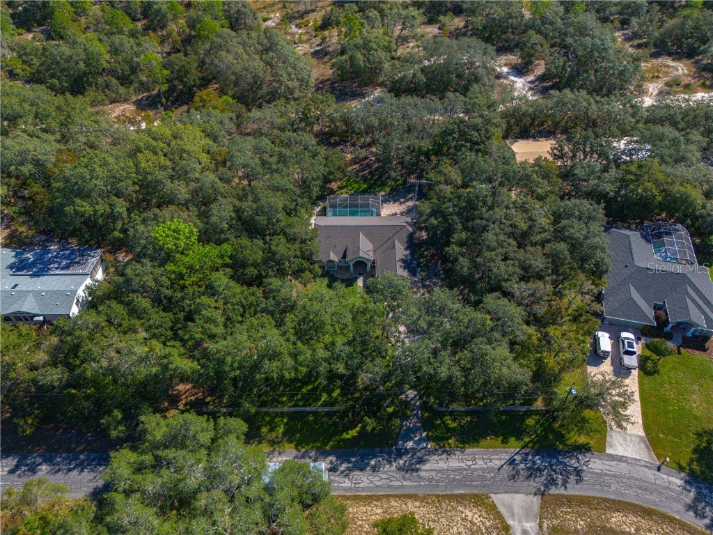 14214 Cinnaman Lane Weeki Wachee FL 34614 TB8443026 image72