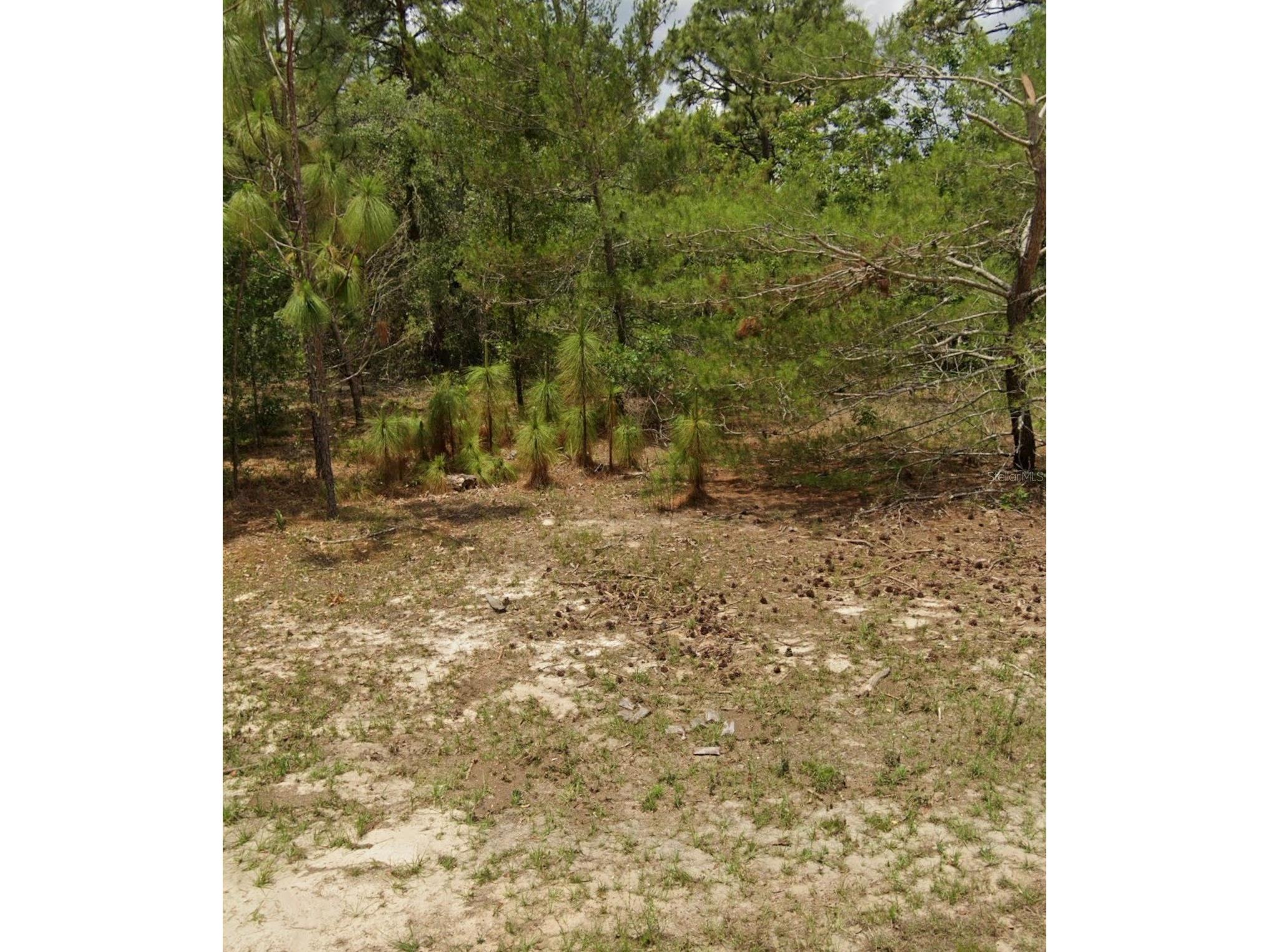 14214 SW 60th Terrace Ocala FL 34473 O6427135 image1