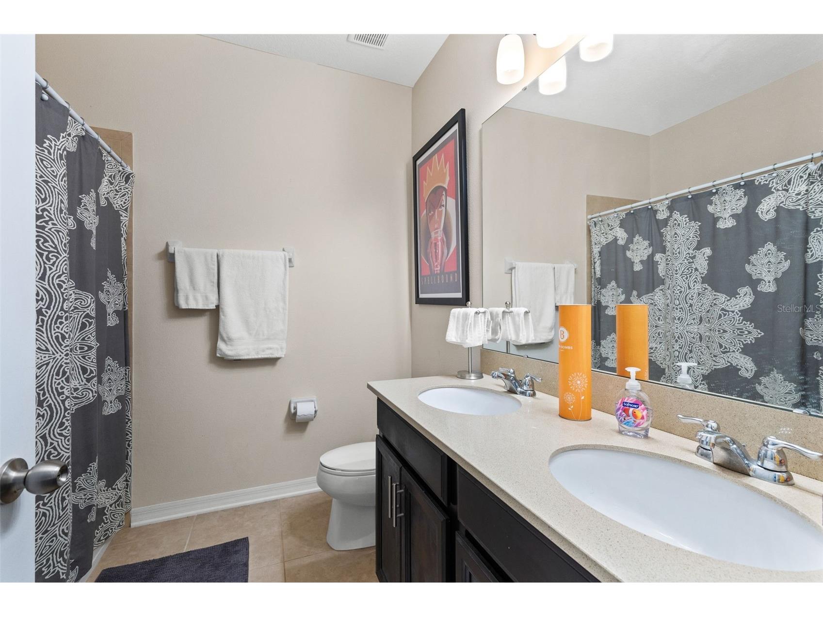 14215 Desert Haven Street #3507 Windermere FL 34786 S5145972 image21