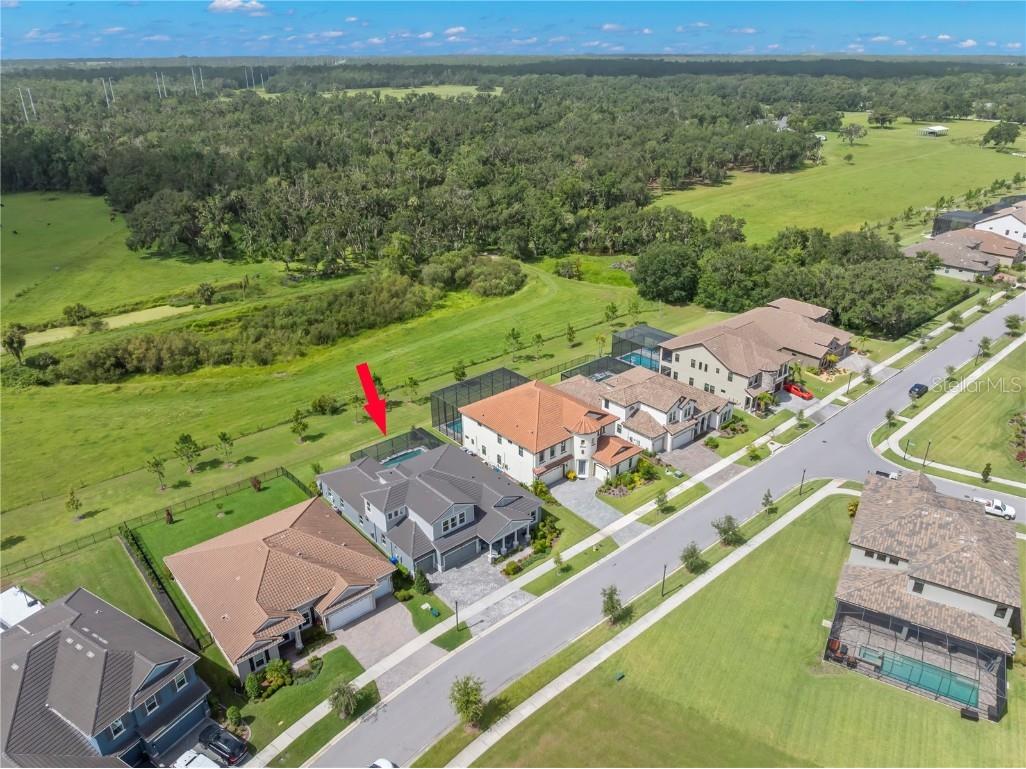 14215 Swiss Bridge Drive Riverview FL 33579 TB8410779 image1