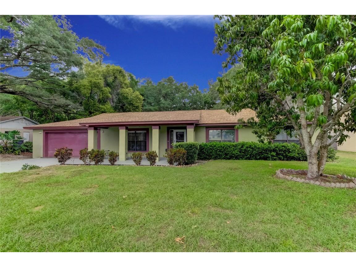 14216 Briarthorn Drive Tampa FL 33625 T3514168 image1
