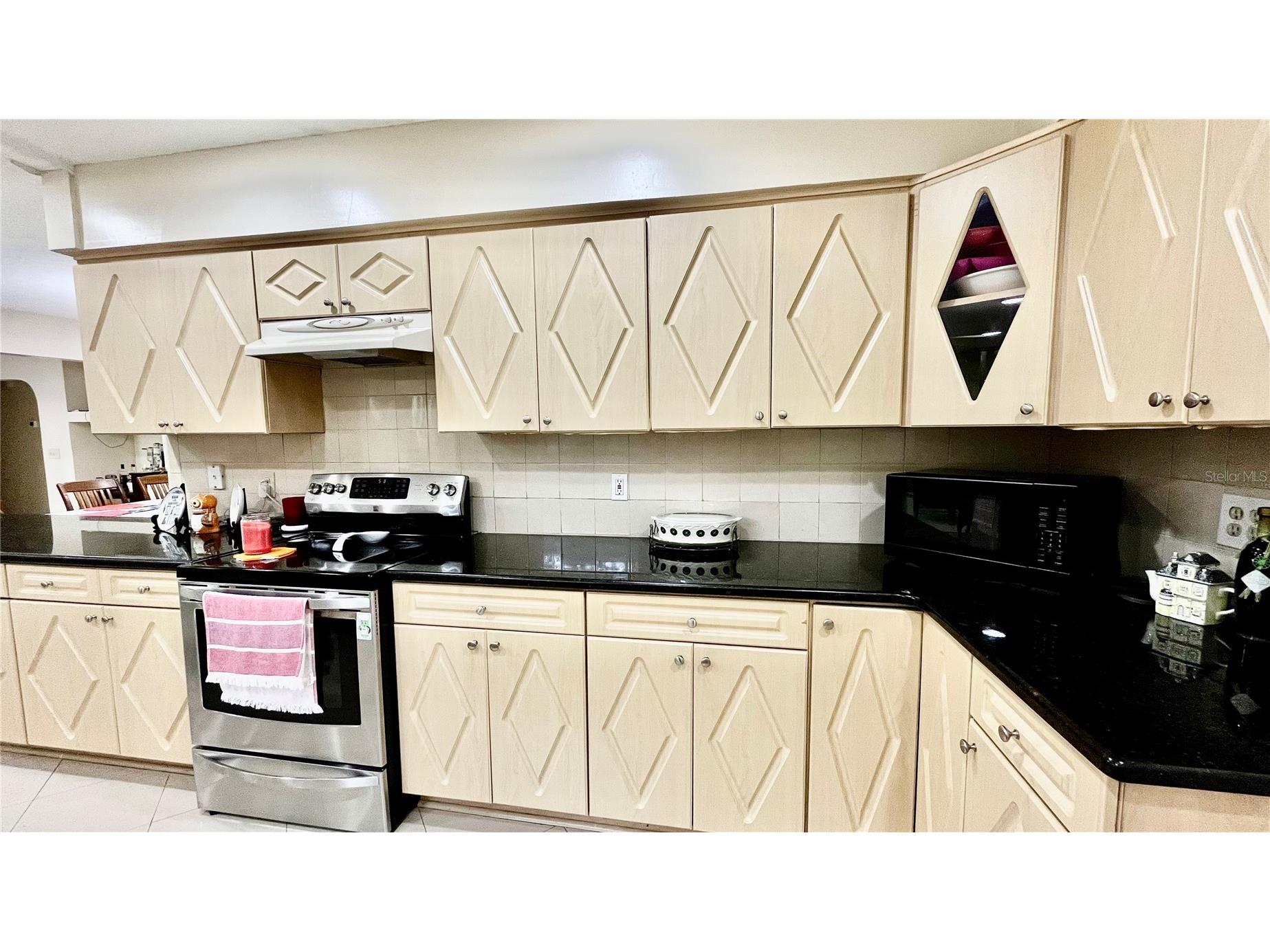 14216 Briarthorn Drive Tampa FL 33625 TB8508529 image11