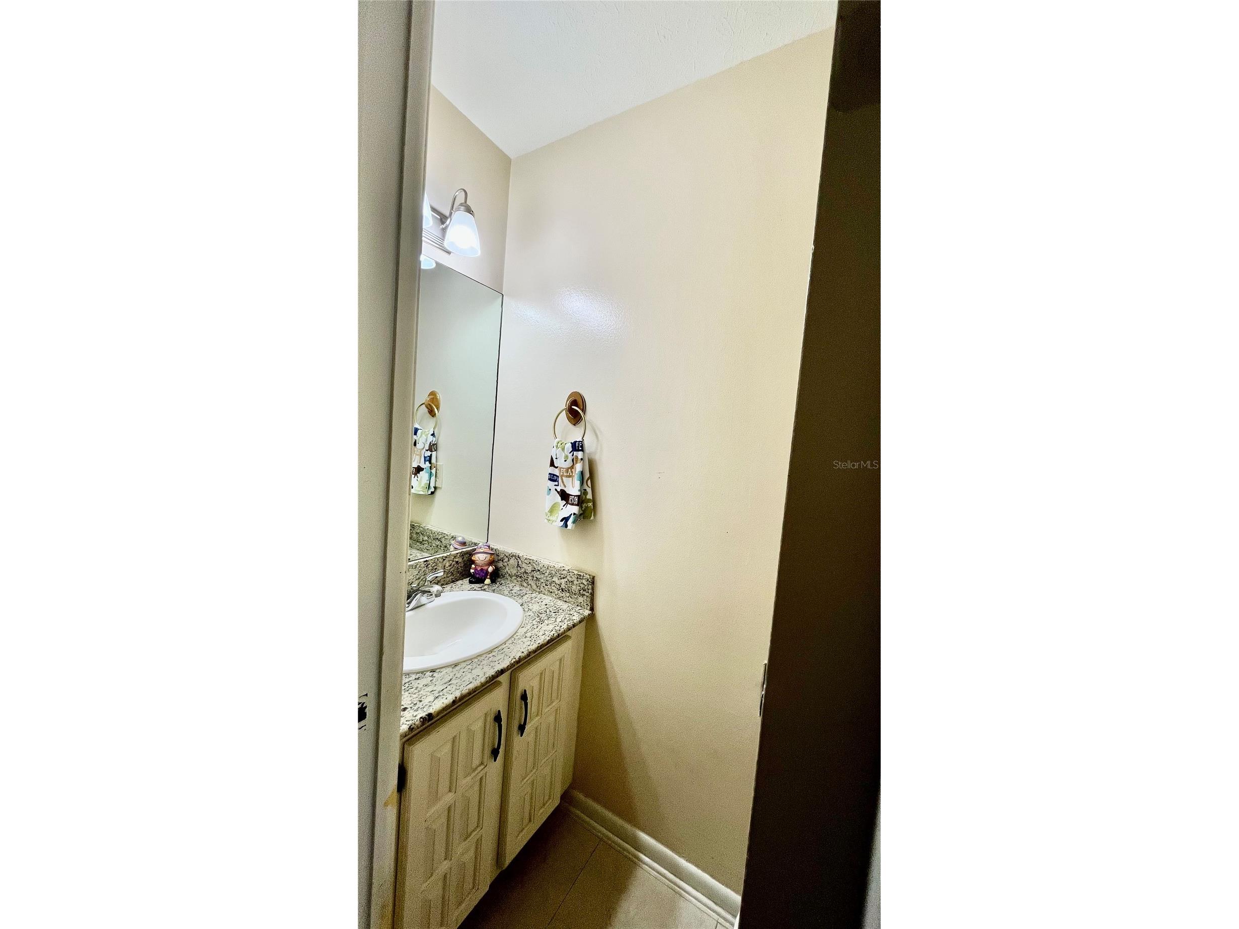 14216 Briarthorn Drive Tampa FL 33625 TB8508529 image25