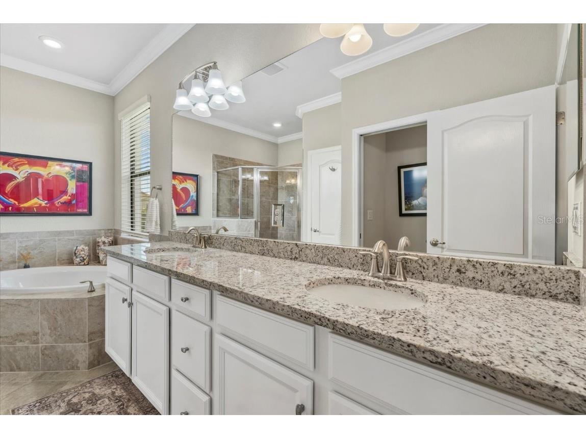 14216 Florida Rosemary Drive Bradenton FL 34211 A4654628 image19