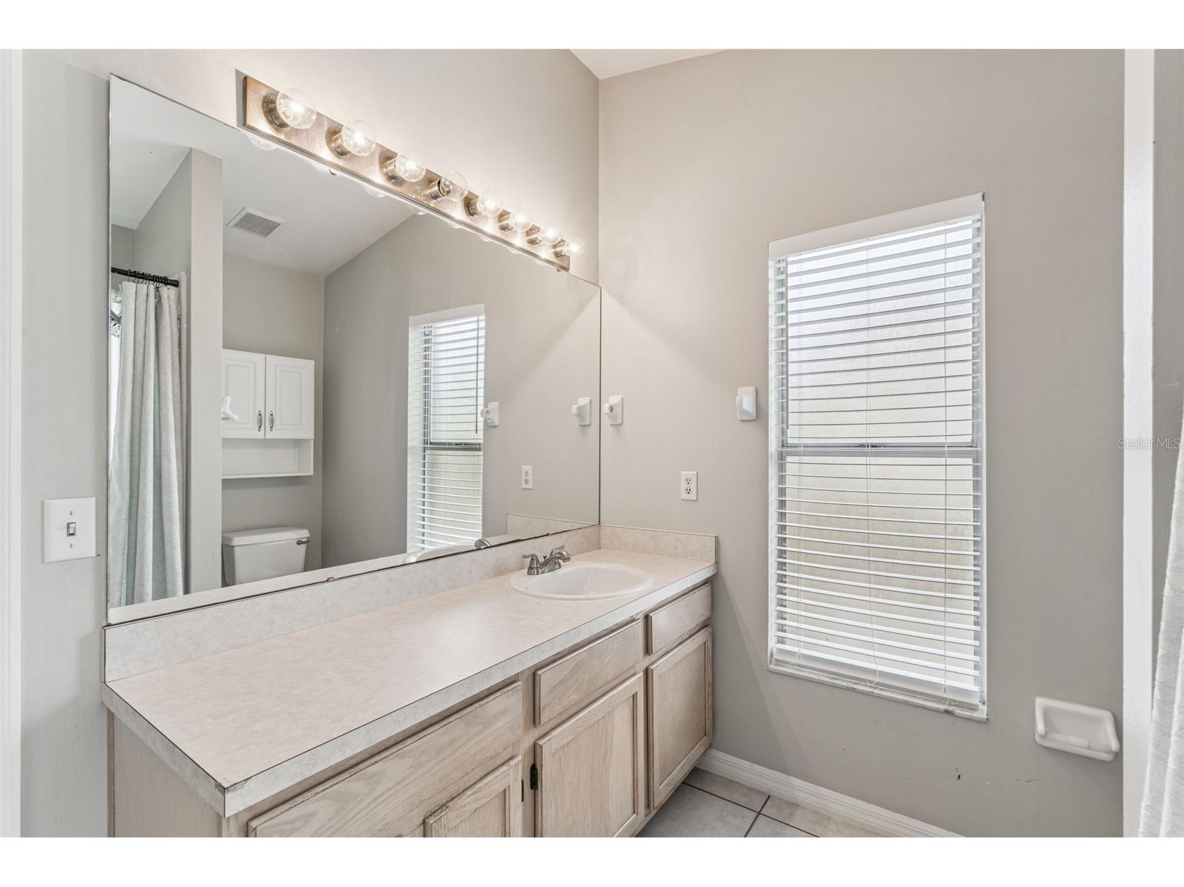 14217 Goodings Lane Clermont FL 34711 O6381979 image12