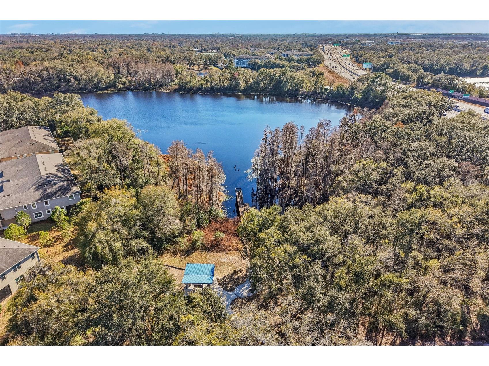 14217 Pondhawk Lane Tampa FL 33625 TB8474289 image42