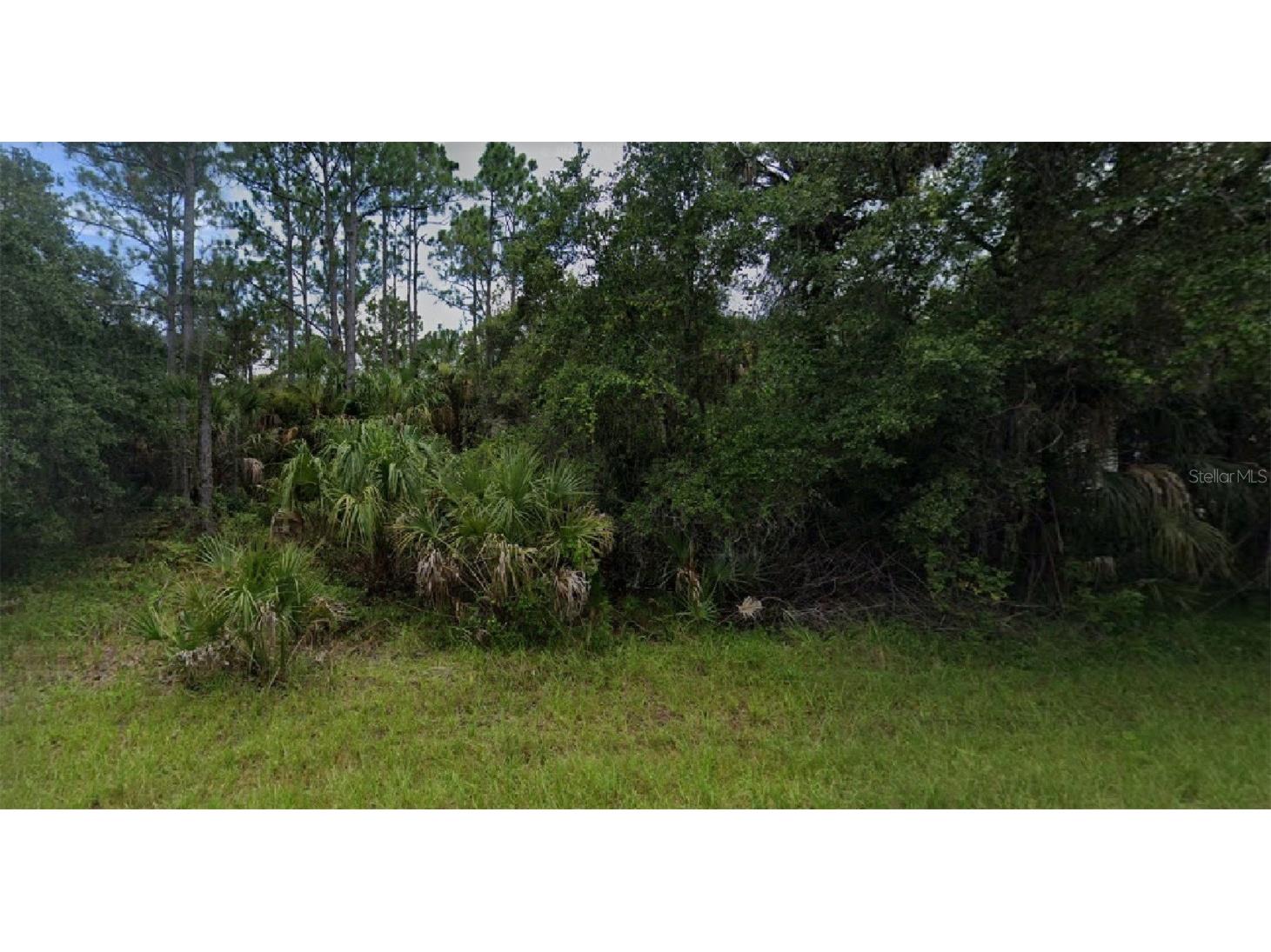 14219 Daniels Avenue Port Charlotte FL 33953 O6100149 image1