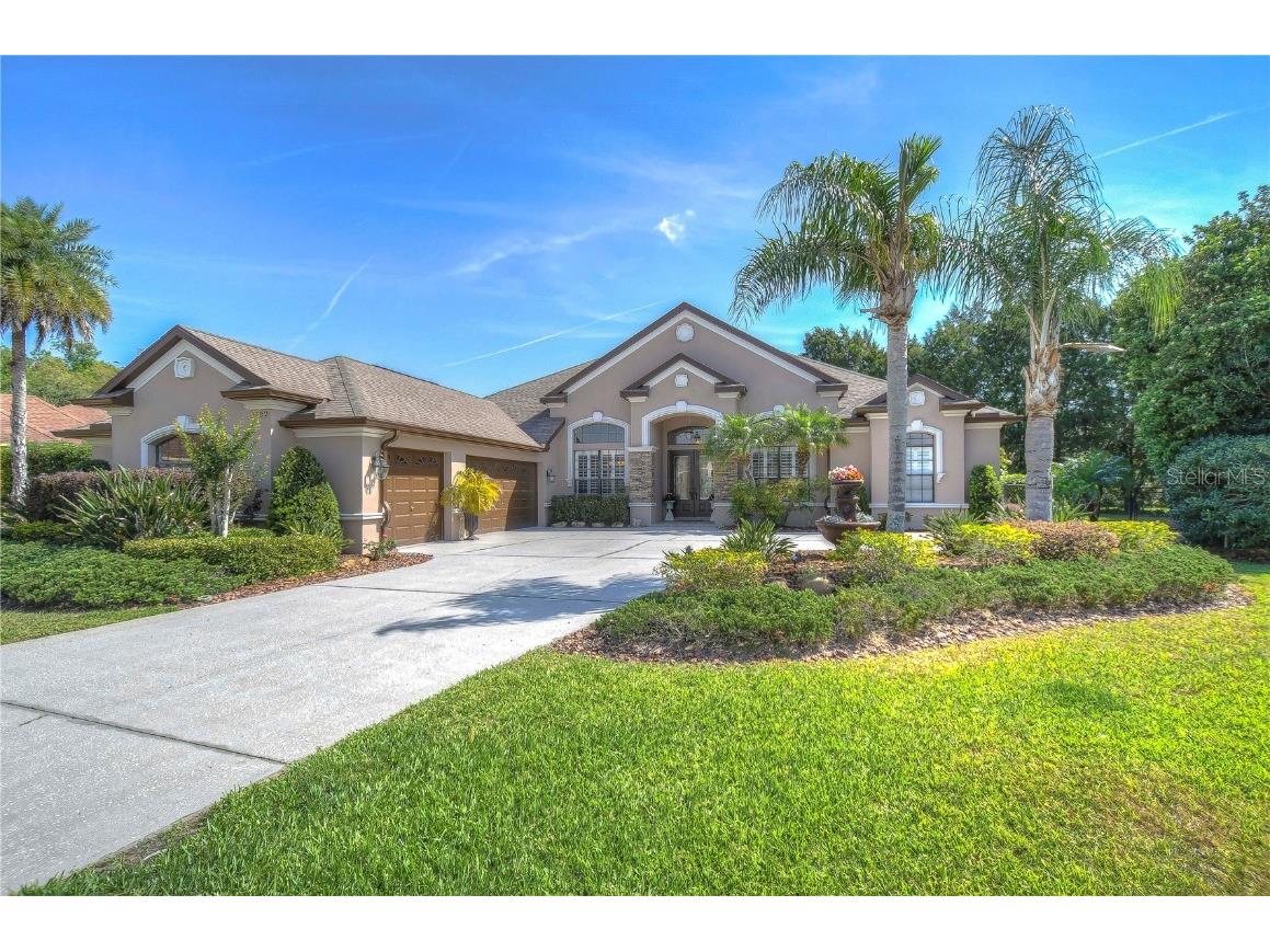 1422 Aristides Court Odessa FL 33556 T3437879 image1