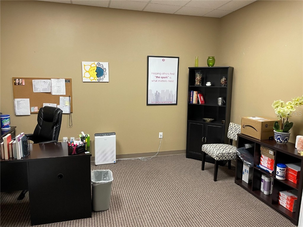 1422 Bloomingdale Avenue Valrico FL 33596 TB8408890 image6