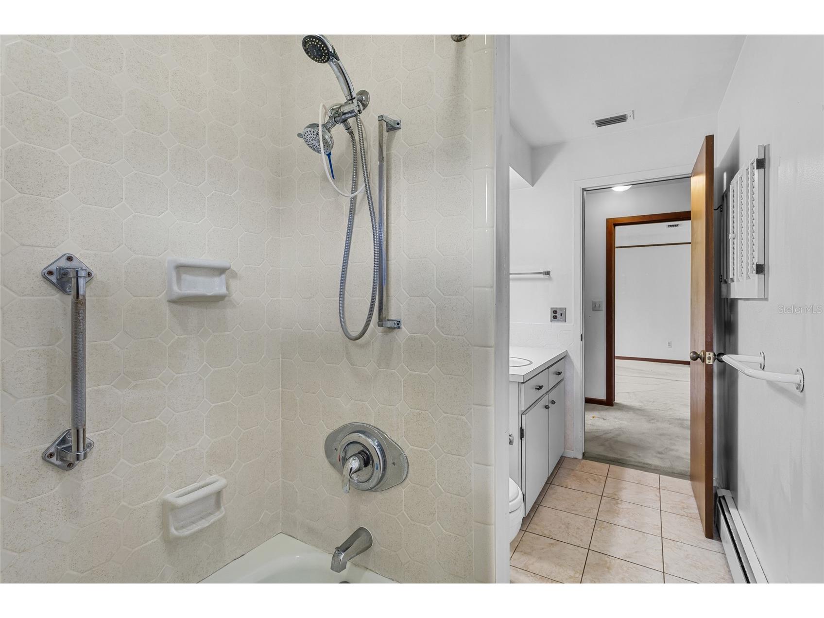 1422 E 8th Avenue Mount Dora FL 32757 O6334659 image23