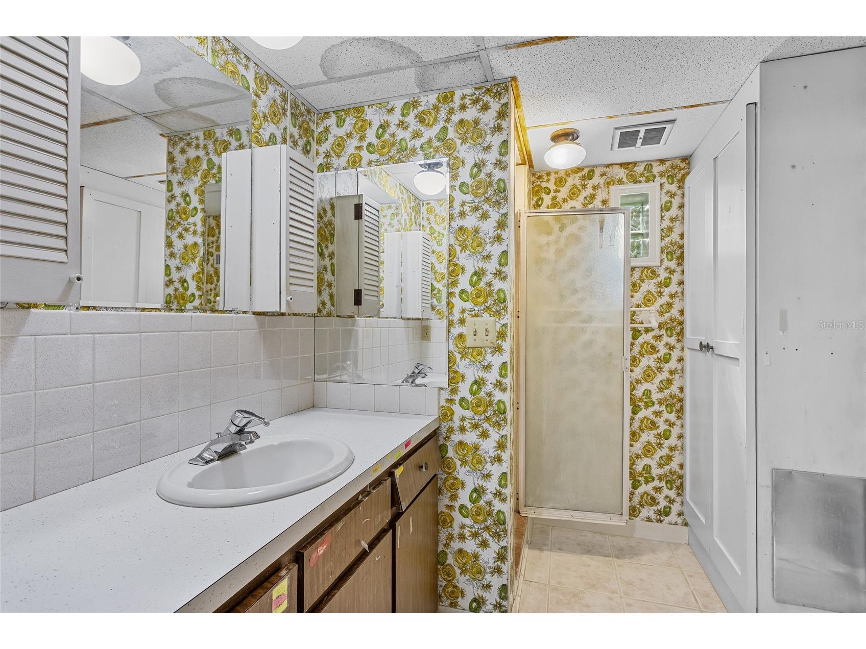 1422 E 8th Avenue Mount Dora FL 32757 O6334659 image43