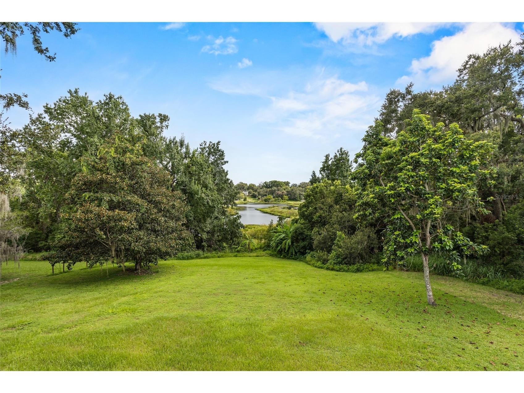 1422 E 8th Avenue Mount Dora FL 32757 O6334659 image54